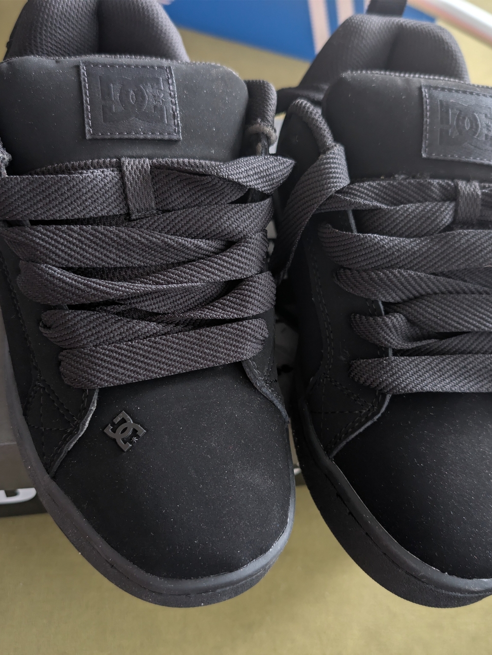 DC Black Low-Top Skate Sneakers